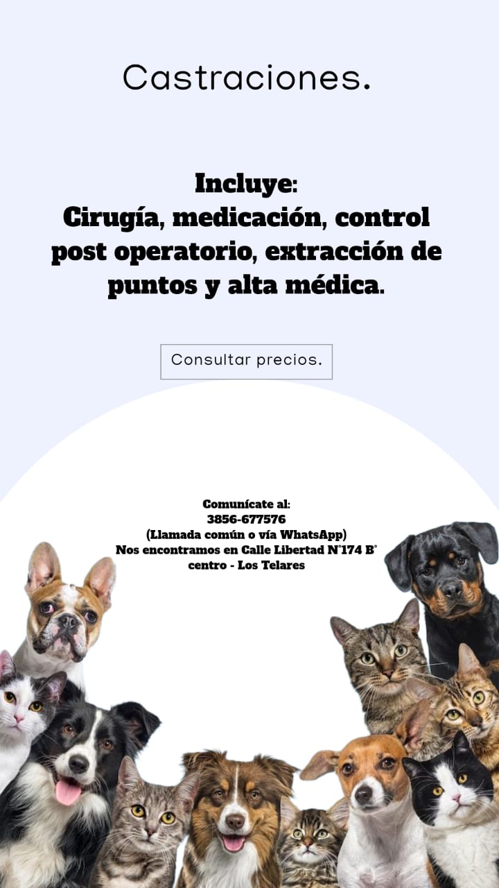 Anuncio